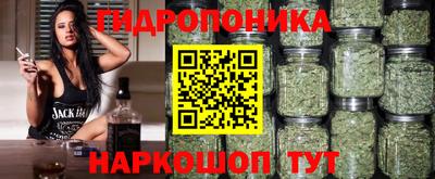 ALPHA-PVP Камышлов