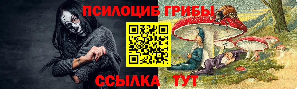 Галлюциногенные грибы Magic Shrooms  Вход с VPN  Балашов  Псилоцибиновые грибы мухоморы 
